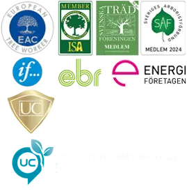certifiering arborist och trädfällning - Arborister.se certifiering arborist och trädfällning
